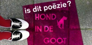 APF_info-550x270-300x147